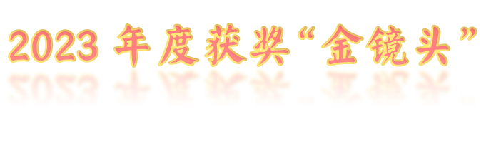 再次榮獲《北京市停車管理行業叁級資質》《2023年度優秀會員單位》